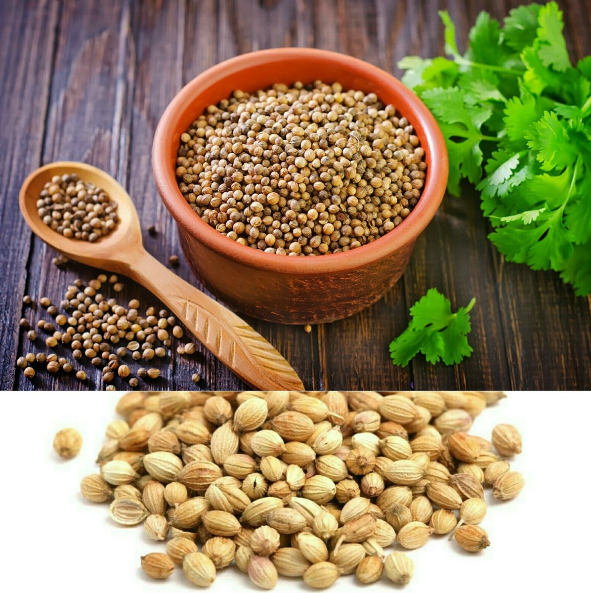 CEYLON HOUSE CORIANDER -100G